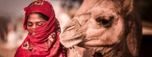 Pushkar Camel Fair Photography Tour | Pushkar Camel Fair | Pushkar Camel fair photo Tour | Best Pushkar Camel Fair Photo Tour | Harsh Agarwal Photography